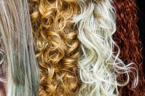 cha cha salon